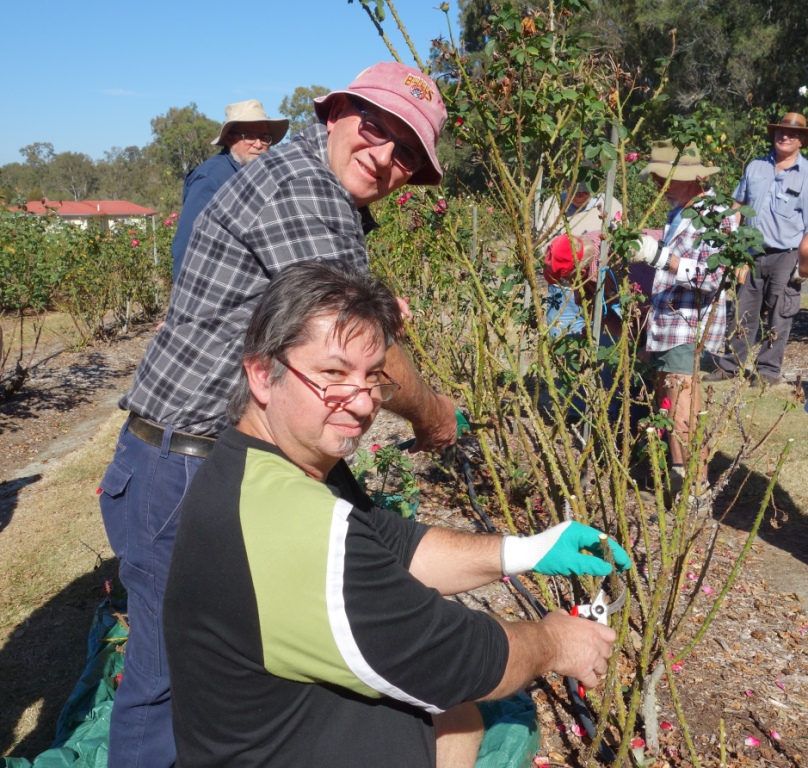 Queensland Rose Society Photos Rose Activities